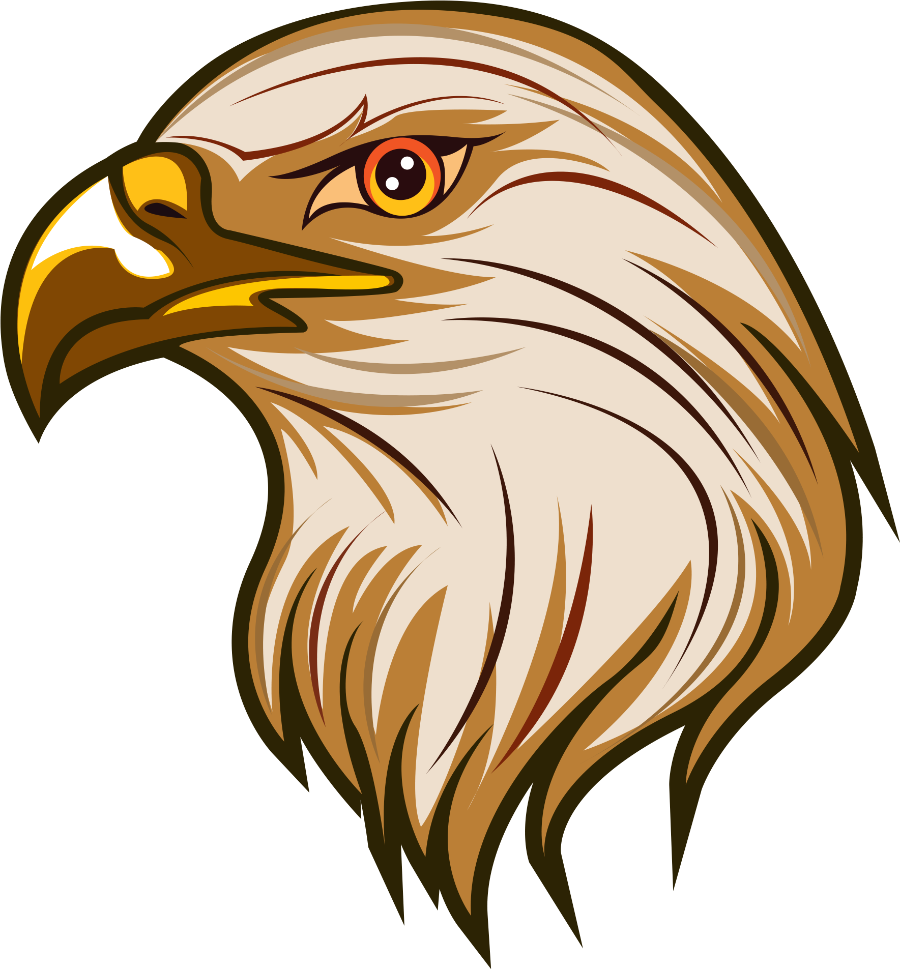 Download - Bald Eagle (2048x2048)