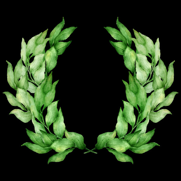Crop (600x600)