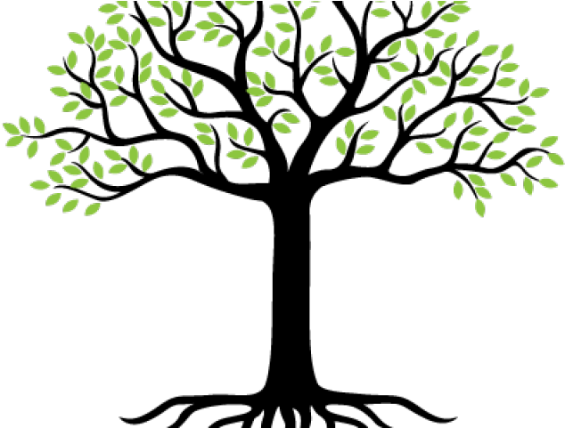 Roots Clipart Landscaping - Drawing (640x480)