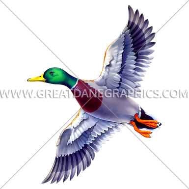 Item - Mallard (385x385)