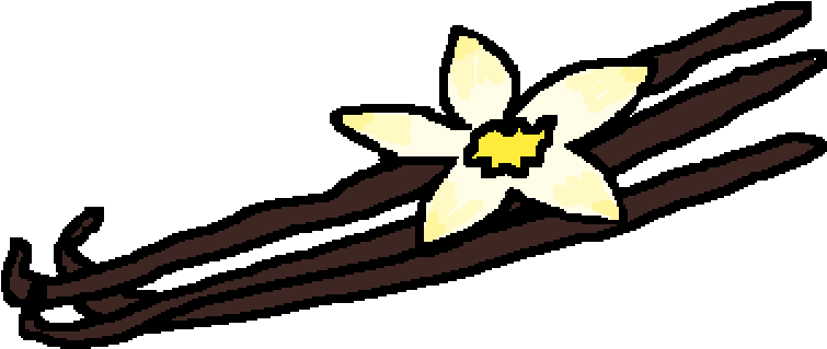 Vanilla Bean - Vanilla Bean (1400x1400)