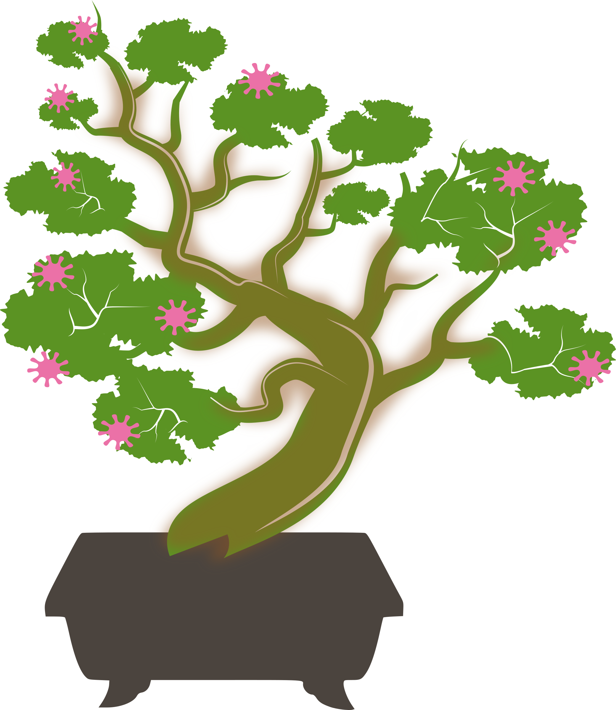 Big Image - Bonsai (2081x2400)