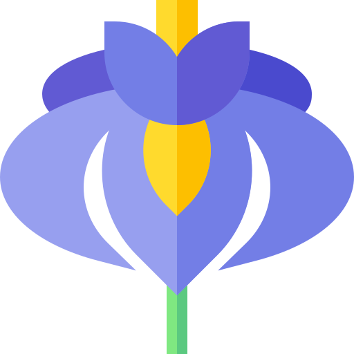 Iris Free Icon - Iris Free Icon (512x512)