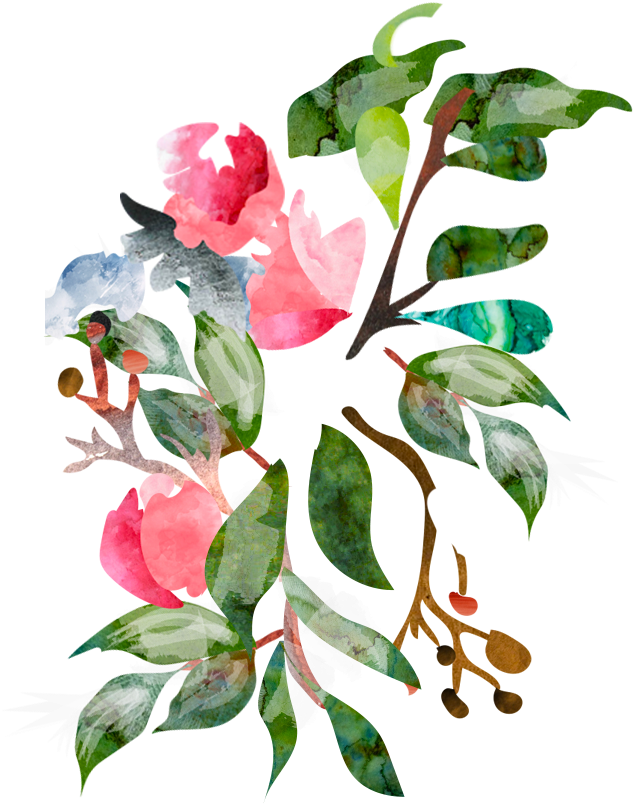 Impatiens (777x941)
