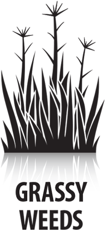 What It Does - Illustration (585x585)