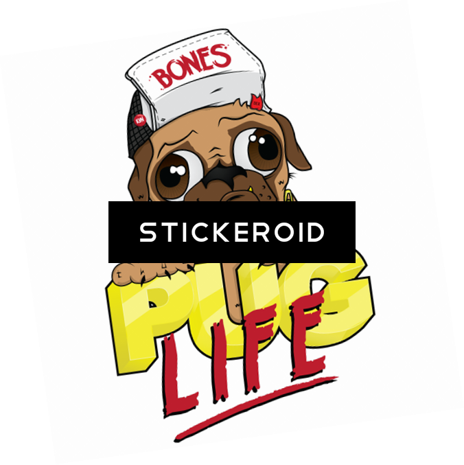 Pug Life Thug - Dog (676x677)