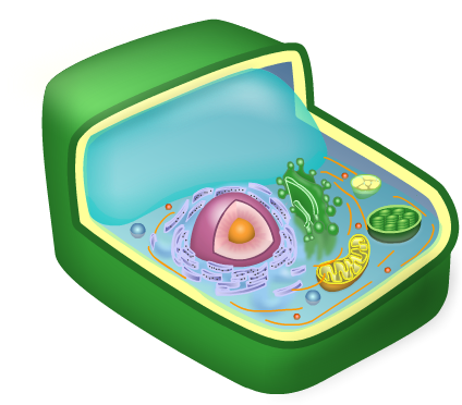Inflatable (545x427)