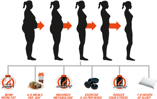 How Can The Cf24 Fat Loss System Help Me - Difference Between Fat Loss (555x372)