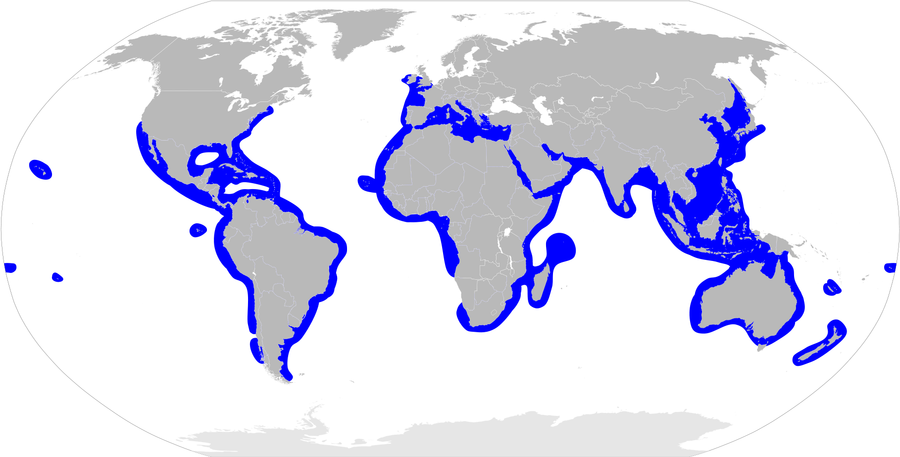 Do Hammerhead Sharks Live (2000x1015)