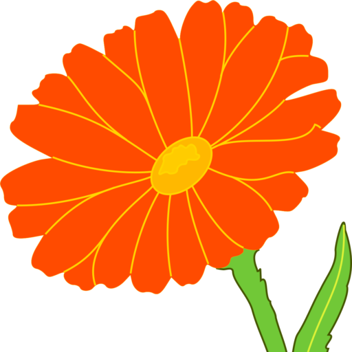 Marigold (512x512)