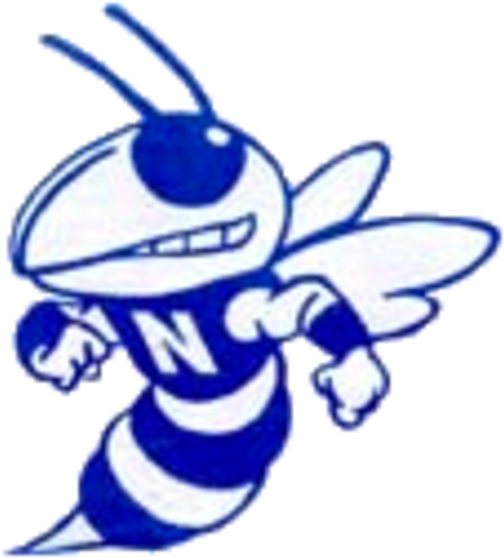 Nashville Hornets (720x789)