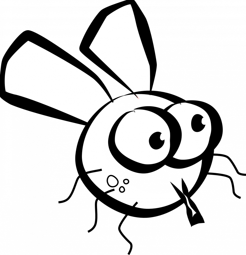 Cute Fly Cartoon (817x845)