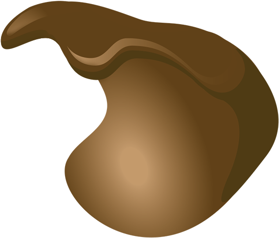 Wood (568x491)