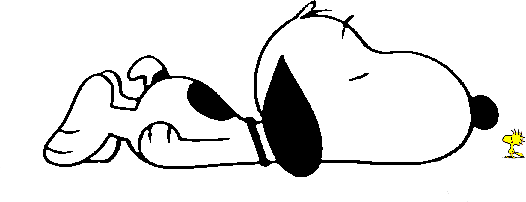 Newton's 1st Law Drawing (1767x854)