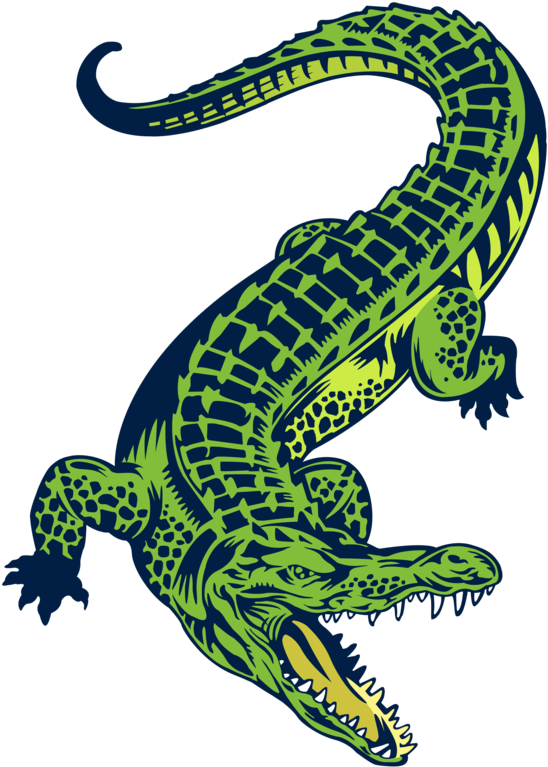 Relax Clipart Gator Tail - Boyo Vector (894x894)