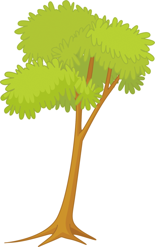 Tree Illustration - Sabal Palmetto (500x798)