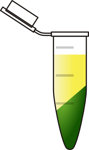 Eppendorf Clipart (354x593)