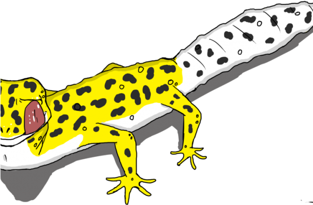 Leopard Lizard Clipart Computer - Common Leopard Gecko (640x480)
