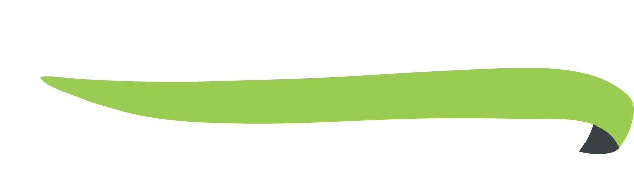Band Foundation - Graphic Design (1267x391)