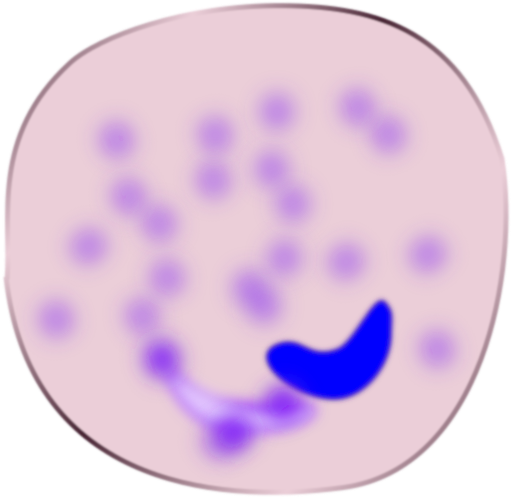 Circle (600x584)