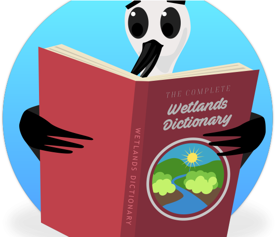 Tern Clipart Dictionary - Graphic Design (640x480)