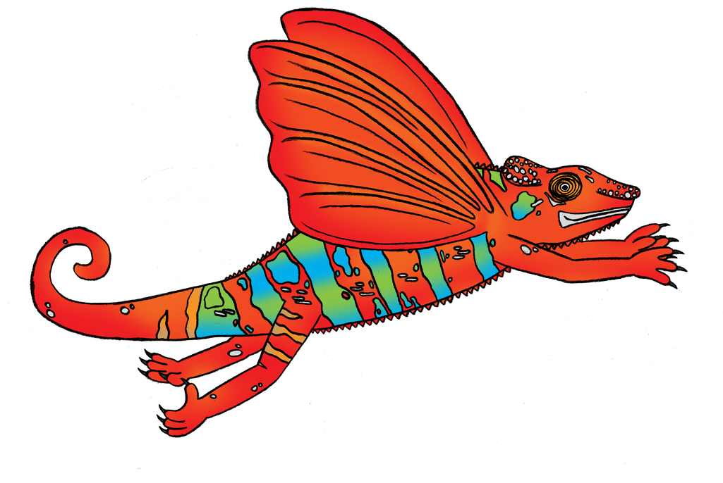 Flying Red Chameleon 2 By Eugenezhitnikov - Illustration (1024x719)