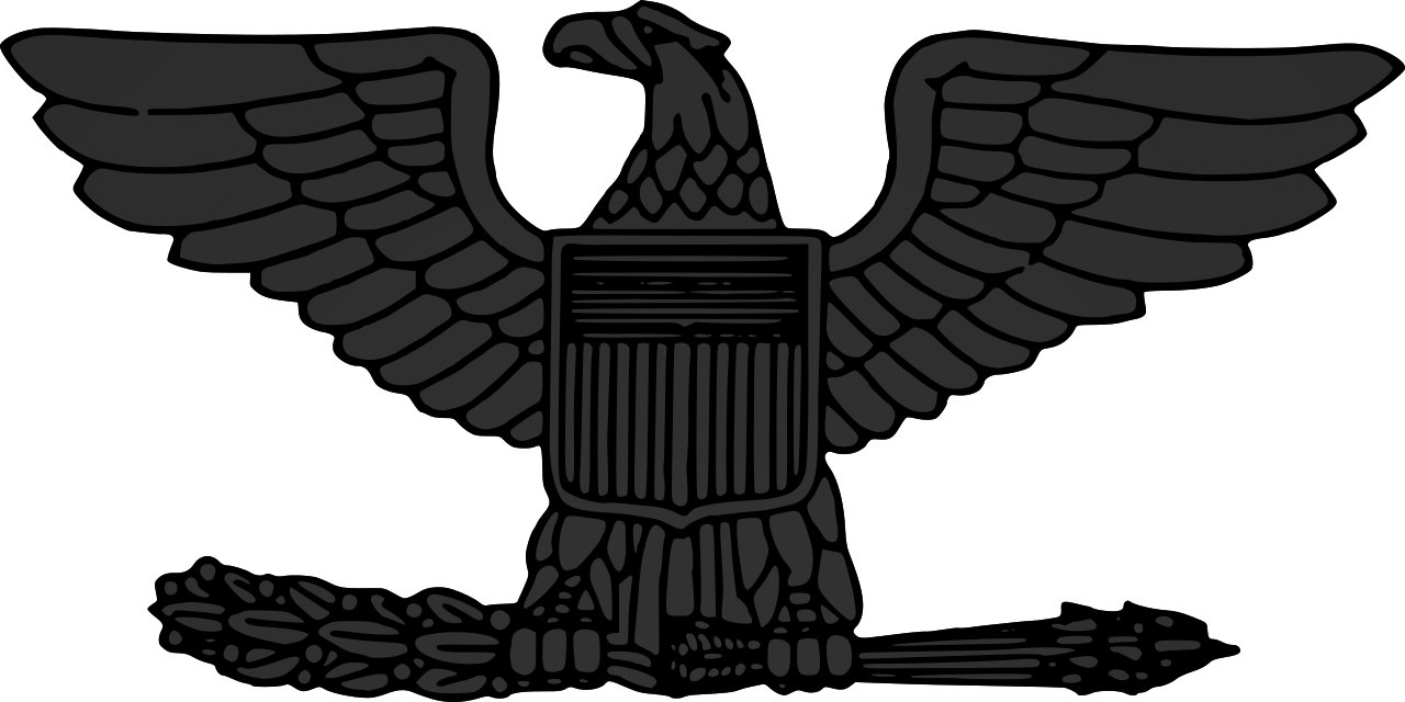 Us-o6 Insignia Subdued - Colonel (2000x1000)