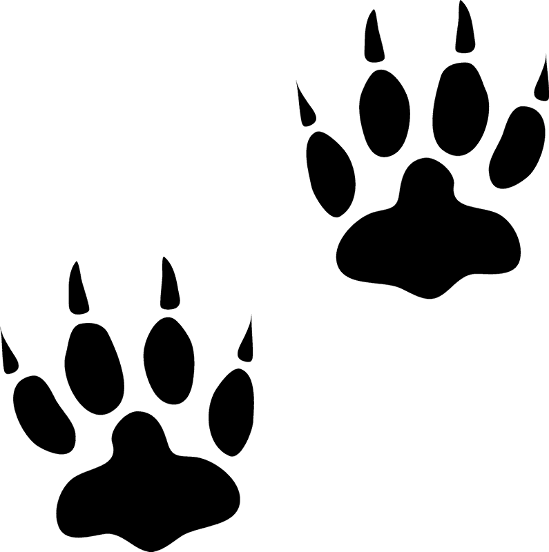 Bear Tracks Rubber Stamp - Bear Tracks (795x800)