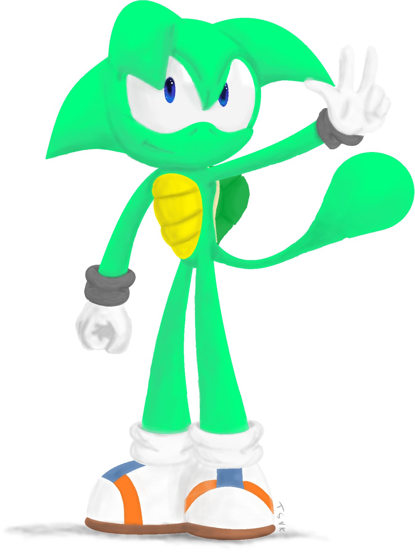 Dash The Turtle - Sonic The Turtle (1856x1952)