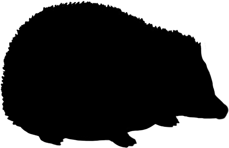 Rabbit Silhouette - Circle (827x556)
