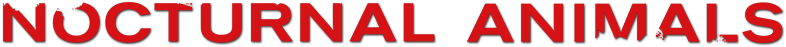 Nocturnal Animals Ending Explained - St Bernard (800x310)