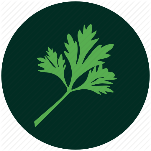 Vector Black And White Library Vegetables By Sreejith - Curry Leaf Vector (512x512)