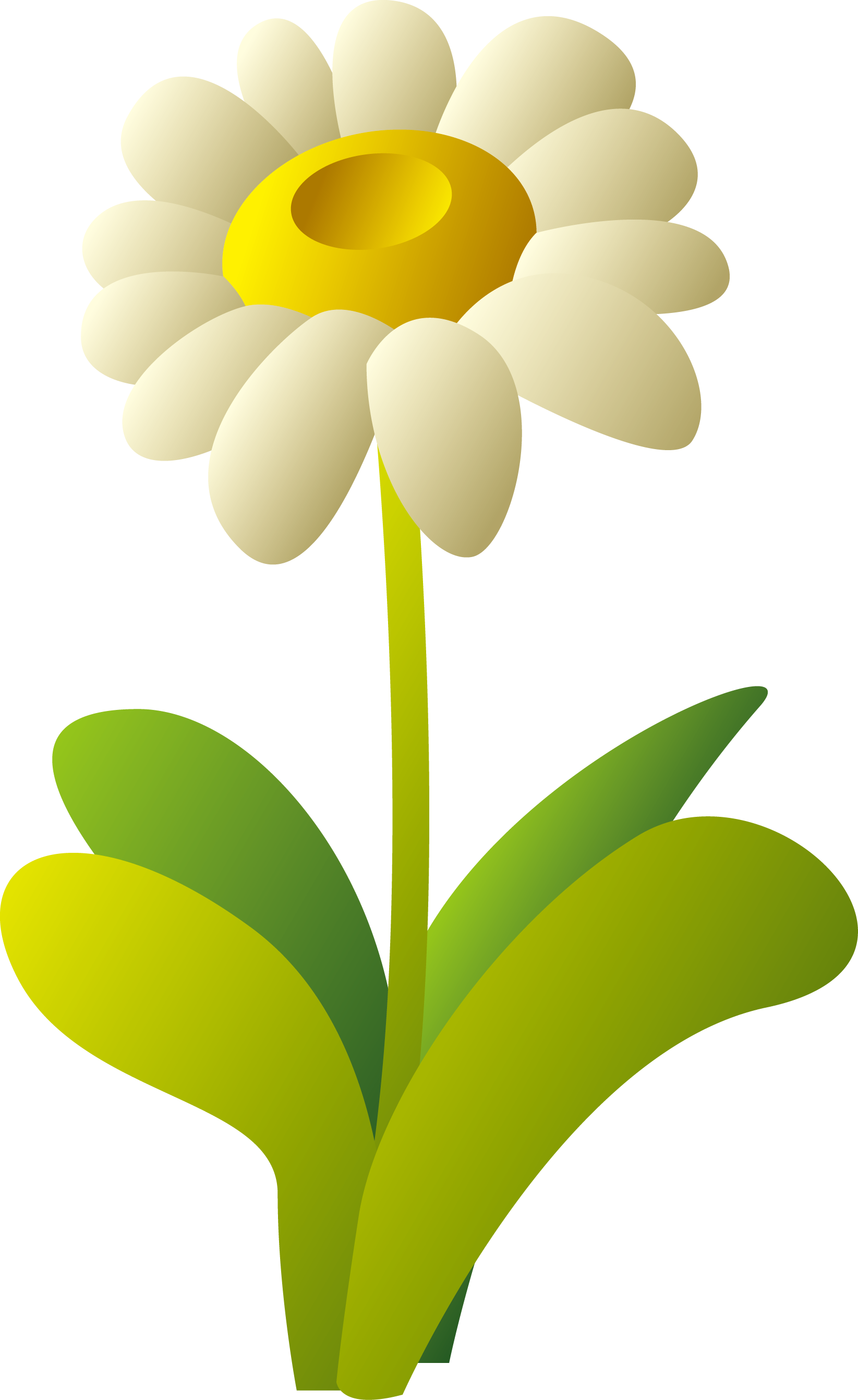 1645 X 2684 2 - Vector Animal (1645x2684)