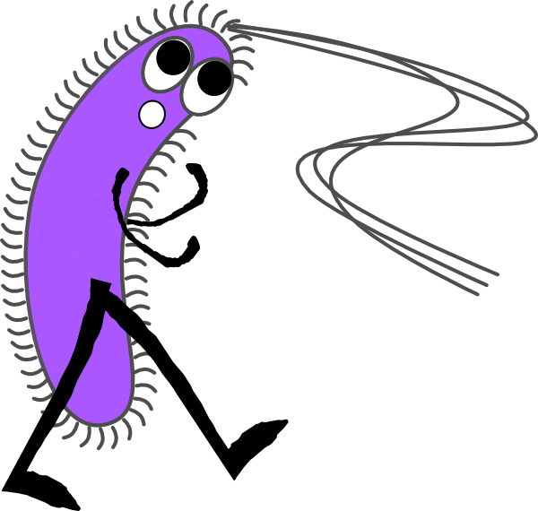 Bacteria Clipart (600x570)
