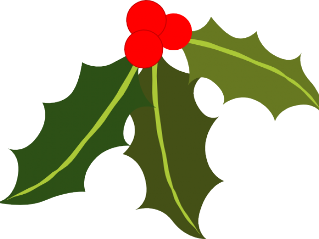 Holly Clip Art Transparent Background (640x480)
