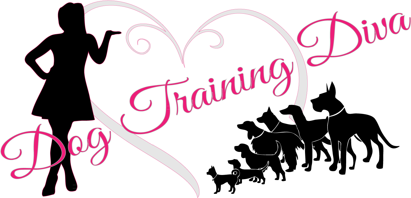Dog Training Diva - Dog (1408x684)
