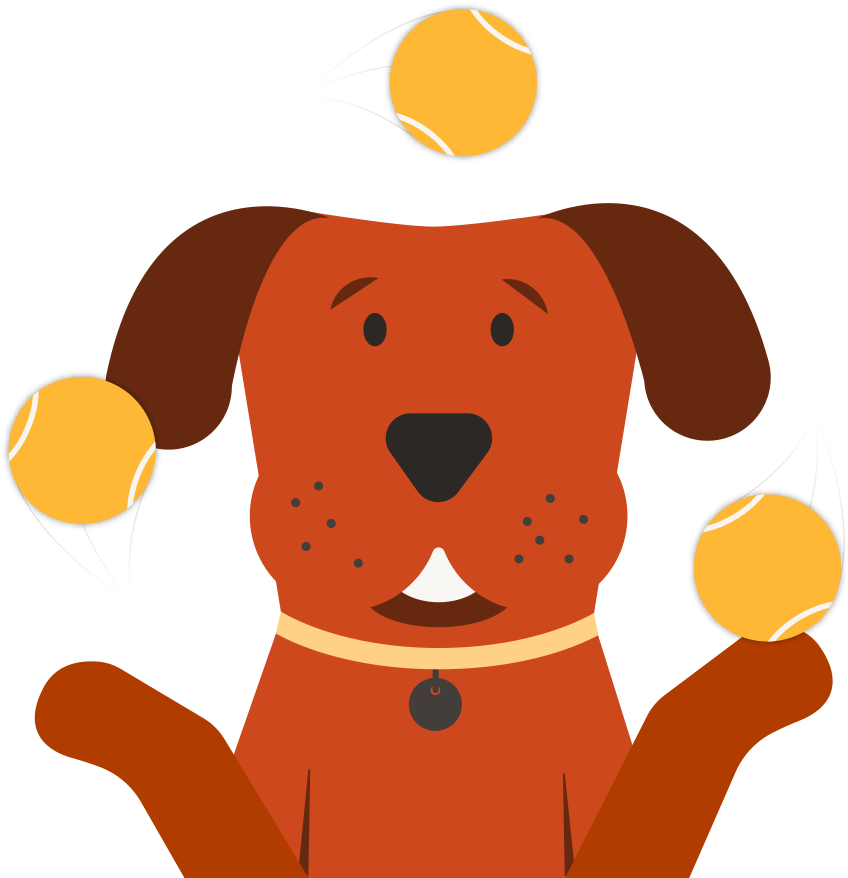 Training Courses - Dog Catches Something (938x928)