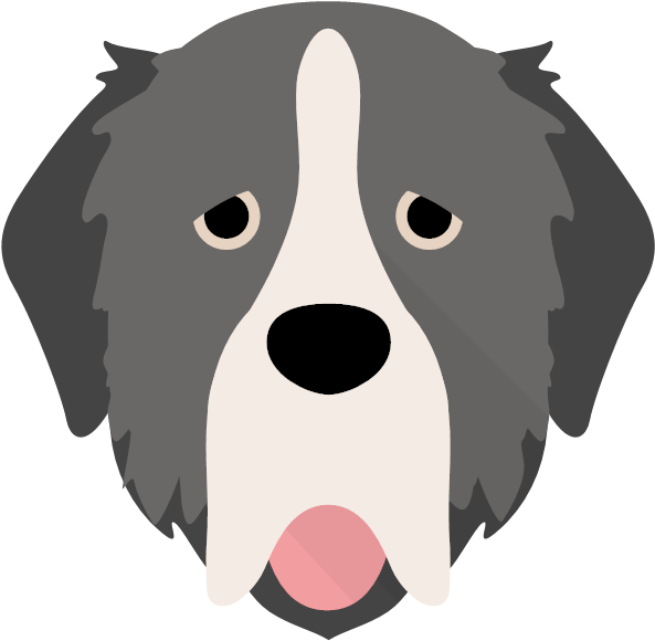 Estrela Mountain Dog (600x600)
