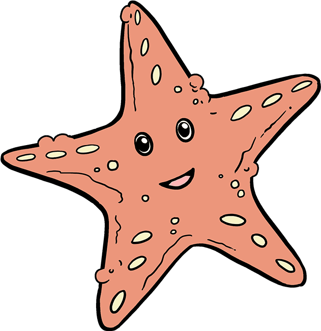 680 X 678 4 - Starfish Drawing Easy (680x678)