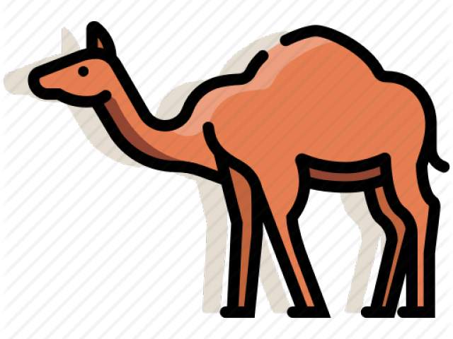 Camel Clipart Mammal - Camel (640x480)