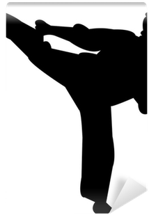 Kung Fu Silhouette (400x400)