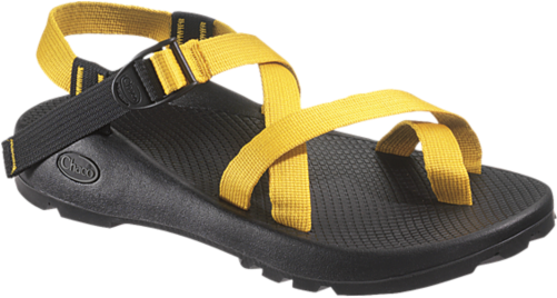 Yellow Chacos (500x520)