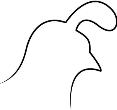 Quail Run Pta - Line Art (400x400)