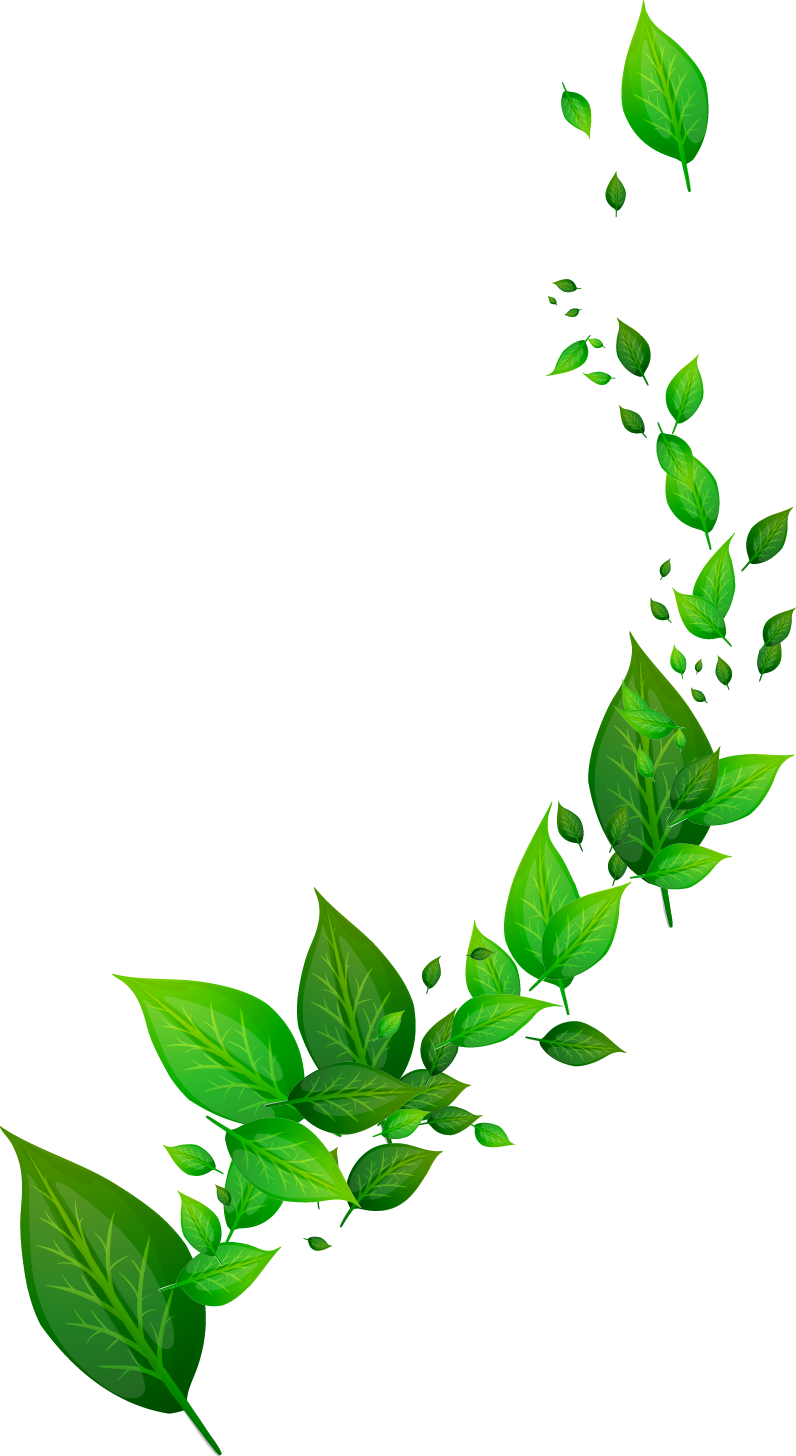 Leaf Dynamic Free Frame - Positive Good Afternoon Quotes (796x1456)