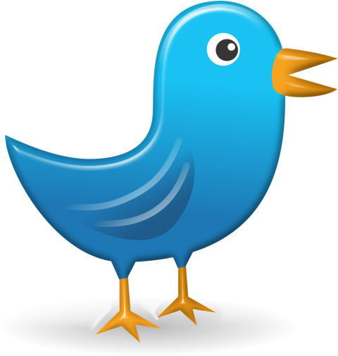 Icon (500x506)