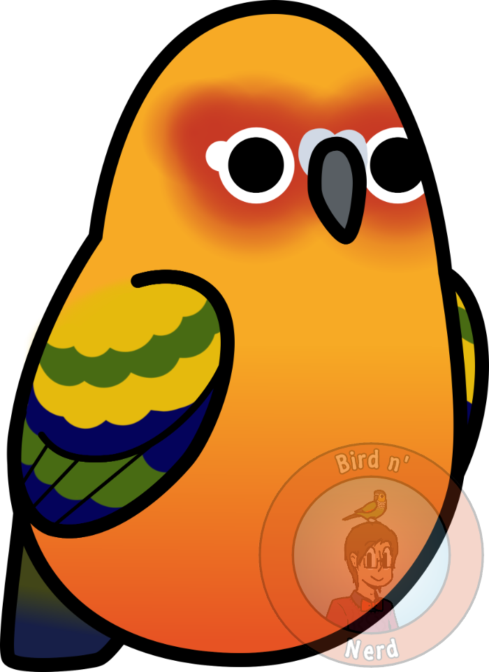 Too Many Birds - Conure (700x962)