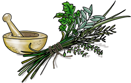 Olive This - Parsley (452x452)