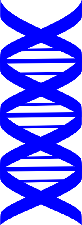 Base10 Concierge - Blue Dna Symbol Transparent (280x764)