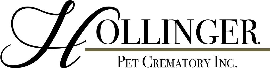 Site Image - Site Image (1171x337)