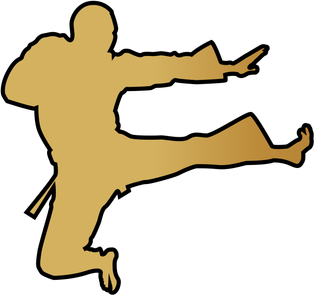 Mixed Martial Arts - Karate (900x900)